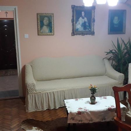 Cozy, Central 1-Bedroom Apartment In Timisoara, Romania Eksteriør bilde