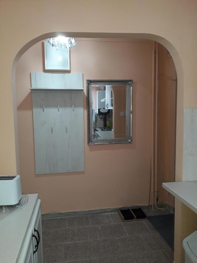 Cozy, Central 1-Bedroom Apartment In Timisoara, Romania Eksteriør bilde