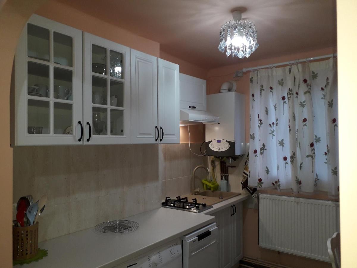Cozy, Central 1-Bedroom Apartment In Timisoara, Romania Eksteriør bilde
